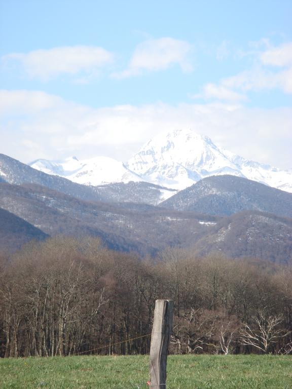 Auberge La Bergerie Сант-Мари-де-Кампан Екстериор снимка
